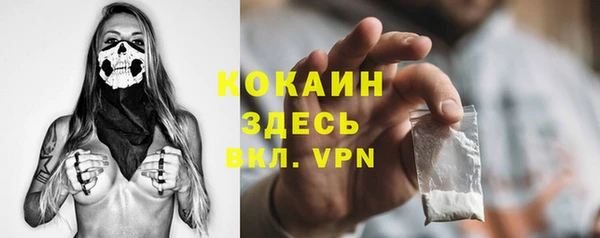 шишки Лиски