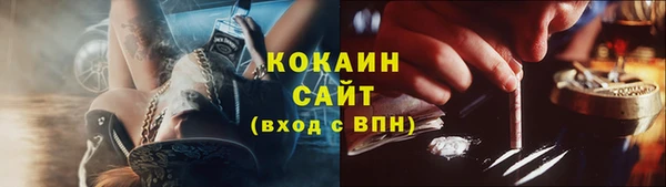шишки Лиски